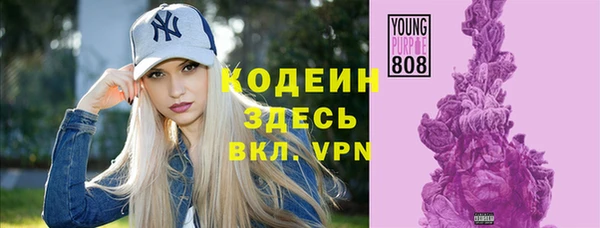 хмурый Алзамай