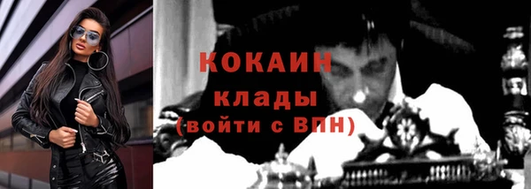 хмурый Алзамай