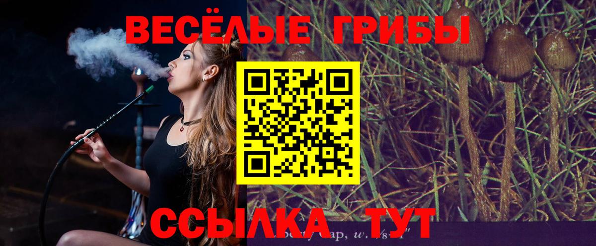 Галлюциногенные грибы прущие грибы  Вход с VPN  Ишим 