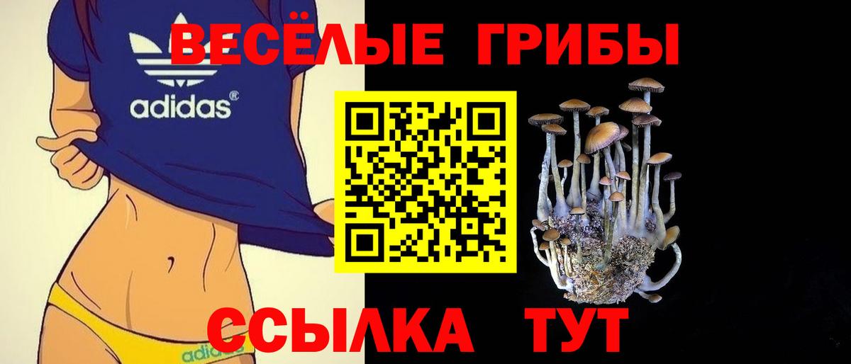 Галлюциногенные грибы ЛСД Ишим