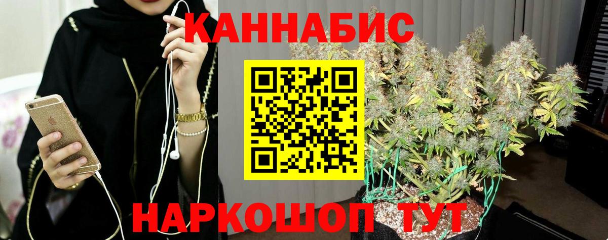 Марихуана AK-47  Вход с VPN  Шишки марихуана план  Шишки марихуана THC 21%  Марихуана Bruce Banner  Ишим 